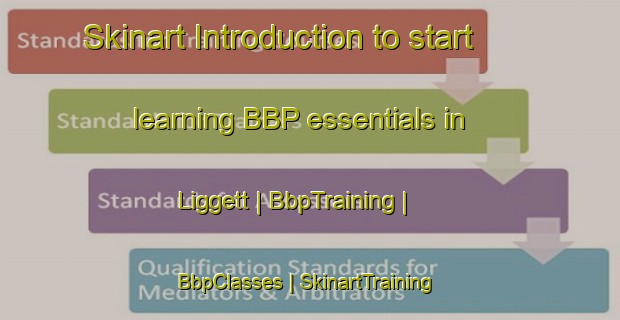 Skinart Introduction to start learning BBP essentials in Liggett | BbpTraining | BbpClasses | SkinartTraining-United States
